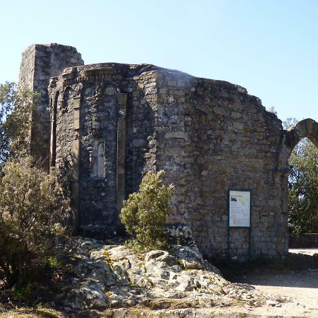 Casa Viviani Διαμέρισμα Λεβάντο Εξωτερικό φωτογραφία