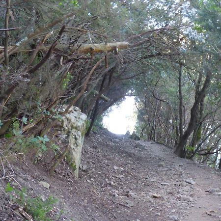 Casa Viviani Διαμέρισμα Λεβάντο Εξωτερικό φωτογραφία